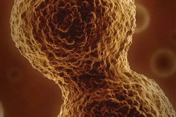 Anti Bug Additive Anti Bug Additive